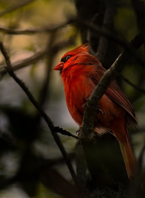 cardinal-numeral-adjective cardinal numeral adjective